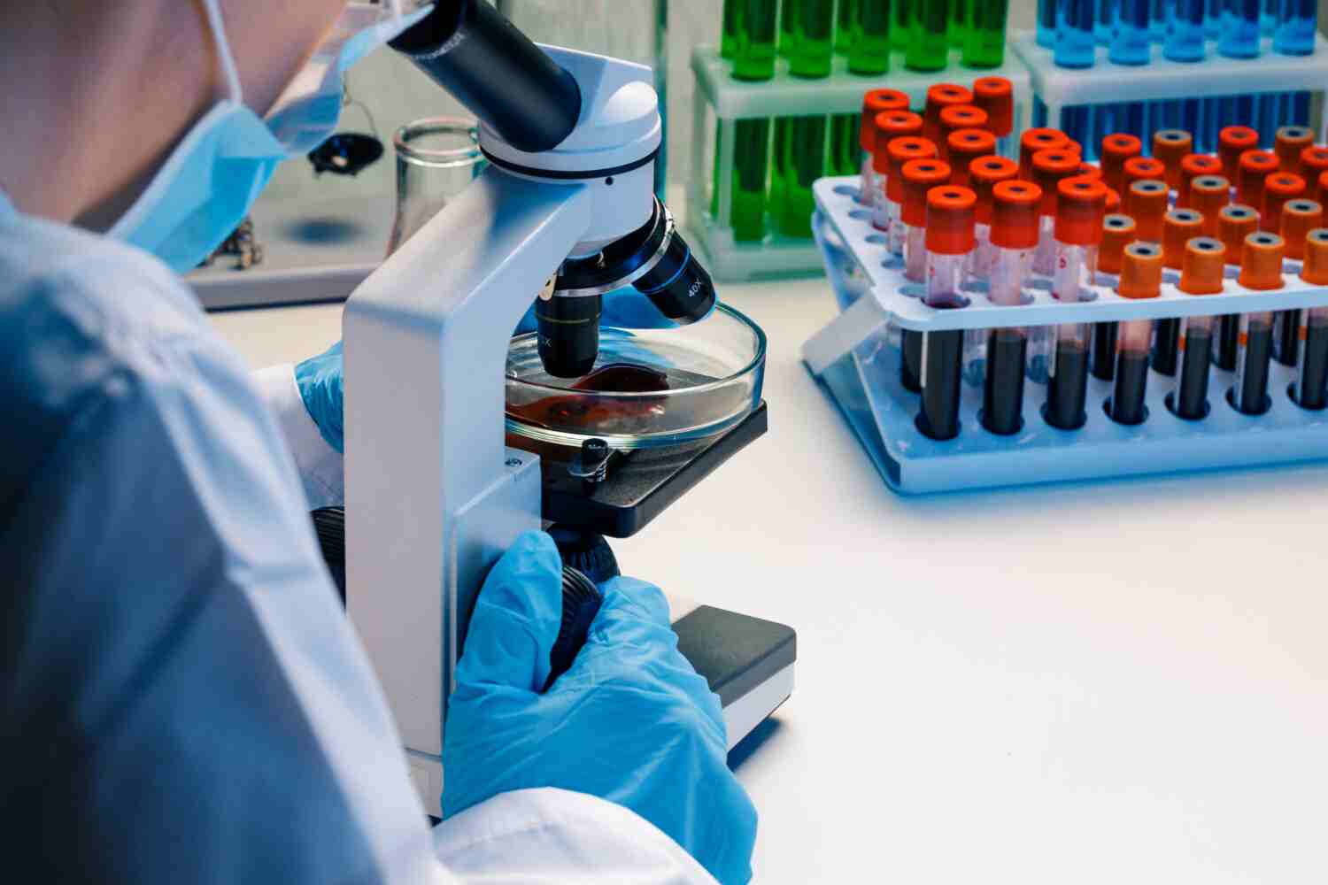 Pathology & Lab
